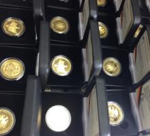 100 Euro Goldmünze MIX im Etui und Zertifikat TOP Qualität