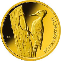 20 Euro Goldmünze Schwarzspecht 2021 Heimische Vögel