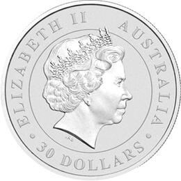 Koala 1 Kilo 2015