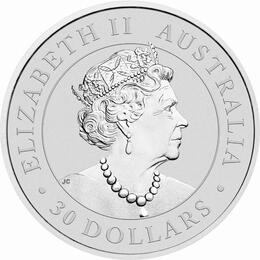 Koala 1 Kilo 2021