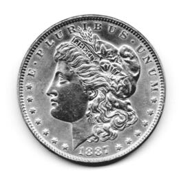 American Silber Morgan Dollar USA historische Silbermünze