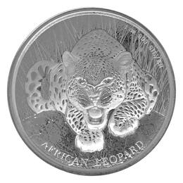 African Leopard 2017
