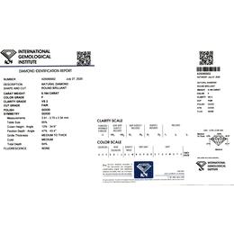 IGI425090002