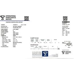 IGI425090019
