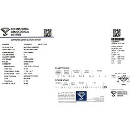 IGI425090003