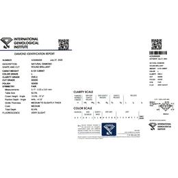IGI425090009