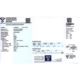 IGI425090028