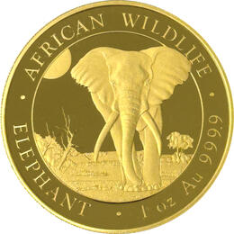 Somalia Elefant Goldmünze 2025