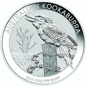 Kookaburra 1 Kilo 2016