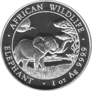 Somalia Elefant 2019