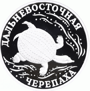 Rubel Russland 2003 Wasserschildkröte