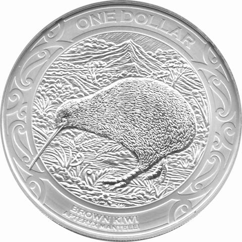 Kiwi Neuseeland 2019