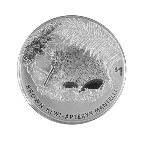  Kiwi Neuseeland 2021