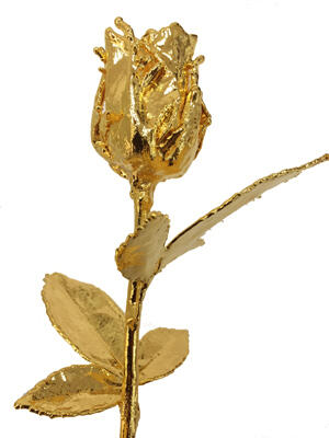 goldene Rose 30cm