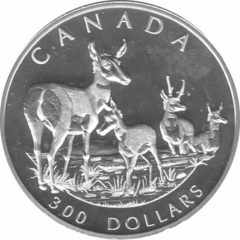 Platin Kanada 2000 Reh proof