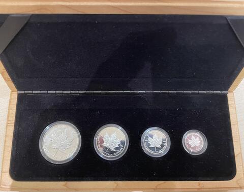 Platin Kanada Maple Leaf proof Set 1989