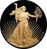 American Eagle Gold 1 Unze 2021 neues Motiv