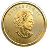 Maple Leaf Gold 1/10 Unze