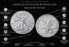 American Silber Eagle 1 Unze 2021 neues Motiv