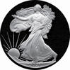 American Silber Eagle 1 Unze 2021 neues Motiv