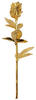 goldene Rose 30cm