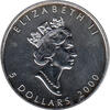 Maple Leaf Farbe 2000