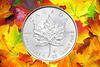 Maple Leaf Farbe 2000