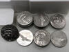 American Eagle Liberty Platin 1 Unze