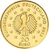 20 Euro Goldmünze Kiefer 2013 Deutscher Wald  mit Zertifikat