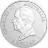 Australian RAM Delfin 2024 Hourglass Dolphin